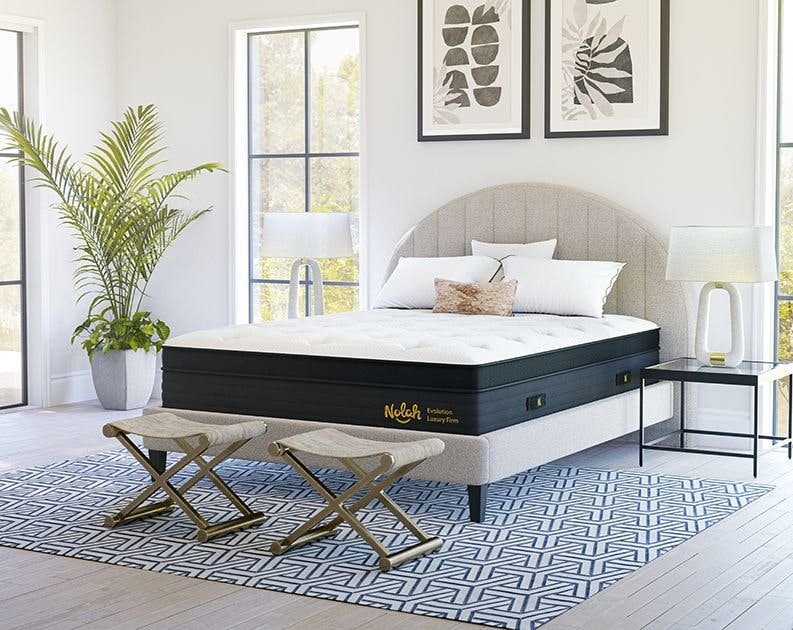 Evolution 15" Mattress