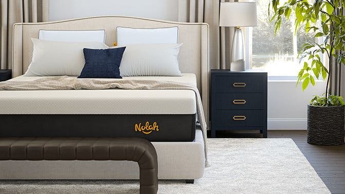 Nolah Signature 12"